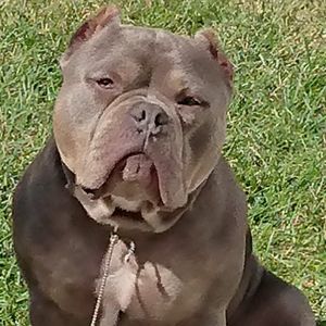 Meet your Posher, Sandra lj